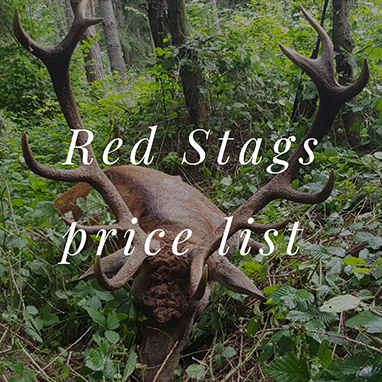 Offers_RedStags_Red_Stags_price_list_thubnail