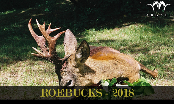 roebucks-2018